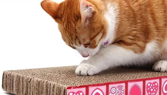 ​2020新媒体人必备十大免费下载神器，谁用谁火