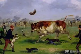 19世纪的斗牛犬凶猛无比，现代斗牛犬呆萌可爱，为什么会这样？图片