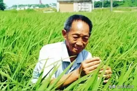 “国宝”级院士袁隆平，小车5辆，看完你会肃然起敬图片
