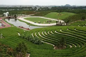 中山也藏着一个欧洲小镇，木屋别墅、骑马、儿童乐园，亲子游最佳图片