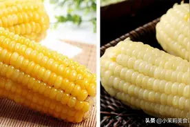 同样是玉米，“黄色”和“白色”有啥区别？知道后别再买错了图片