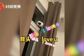 和女友吵架 程序员用摄像头放歌求原谅图片