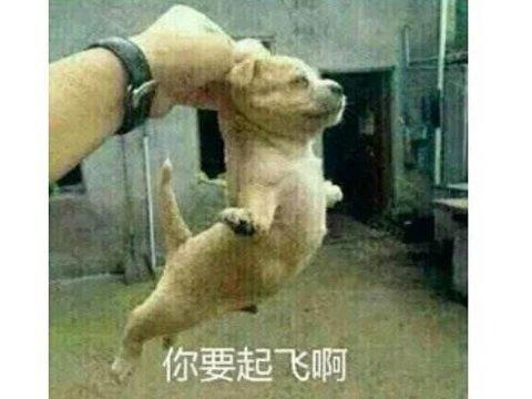 腾讯做的游戏征服老外？三天下载破两千万，国服10月20日开测