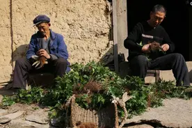 81岁和67岁两位老男人，在大山里过着自给自足的生活，像神仙一般图片