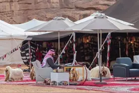 沙特王储沙漠办公，心狠能干也豪奢，32亿买游艇带上百模特狂欢图片