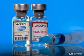 卖疫苗每秒赚1000美元图片