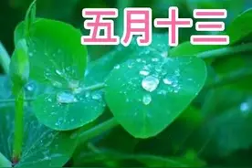 今天五月十三，俗语“不怕五月十三雨，最怕五月十三晴”，为啥？图片