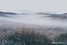 仙气十足的古风句子 | 我与春风皆过客，你携秋水揽星河图片