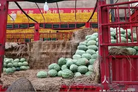 不是果蔬批发生意难做，牢记批发“行话”，你该跟上时代的变化了图片