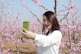 人面桃花相映红，洛阳这里的桃花美翻了图片