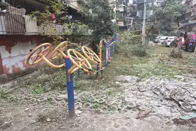推门就是美好生活丨老旧院落改造 "改" 出满满幸福感图片