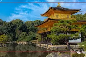 日本N日游图片