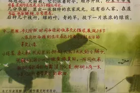 四年级语文下册，第2课《乡下人家》知识点+课后同步练习图片