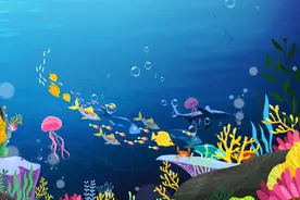 鱼是如何找到食物的？鱼类有哪些觅食方法？钓鱼时的诱鱼技巧图片