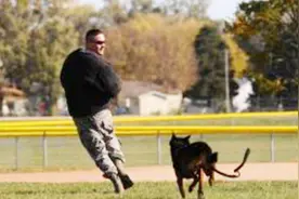 为什么人被狗追的时候，只要蹲下来狗马上就停了？看了涨见识了