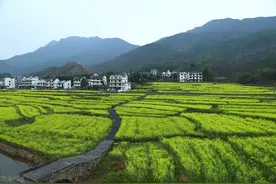 外嫁女是否必然被收回承包土地图片