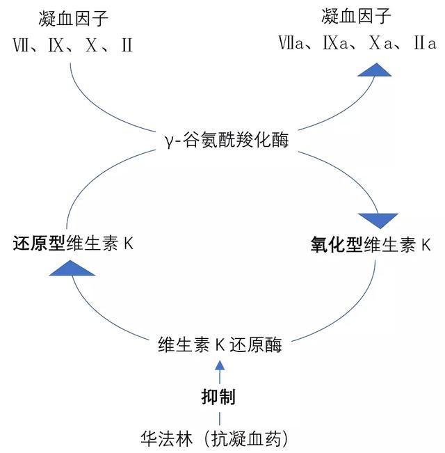 常用止血药，傻傻分不清？详解图表来了