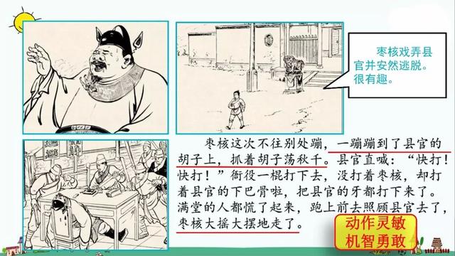 部编版三年级下册第28课《枣核》知识点+图文讲解