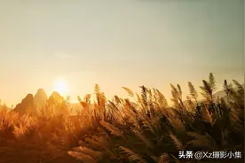 手机上有这几个拍摄功能｜你知道吗？找到帮你用手机轻松拍出大片图片