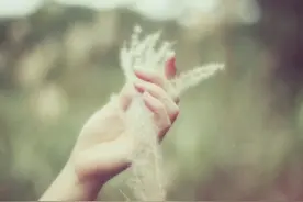 嫁给妈宝男，究竟有多可怕？图片