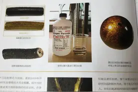 作假“金丝柳”的特征详谈图片