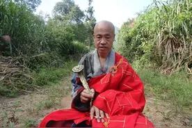 当代难得的苦行僧：手拿如意，托钵乞食，持金钱戒，坚持日中一食图片