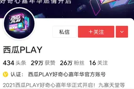 西瓜嘉年华图片