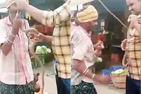 从耍蛇人手中接过拔掉毒牙的眼镜蛇后 印度男子被咬伤后中毒身亡视频封面