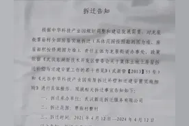 武汉这里将迎“大拆迁”图片