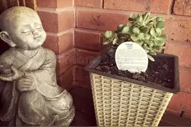 邻居姐姐，善良的你去了天堂，一定会很美好图片