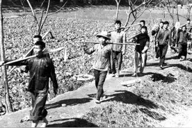 五十岁后的余生，是如此的煎熬图片