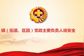 江苏盐城大丰：镇（街道、区园）党政主要负责人说安全图片