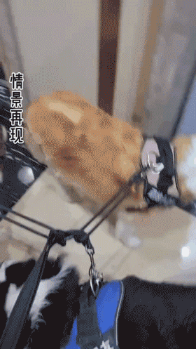 开心一刻｜一个人容易想太多，想太多容易一个人