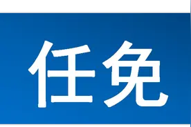 浙江任命4位厅长：陈伟、陈龙、陈浩、毛宏芳图片