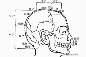 「针灸」26.素髎（督脉）图片