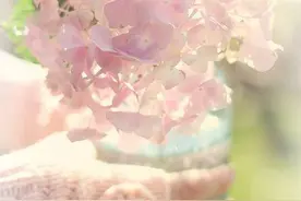 炎炎夏日的小清新图片