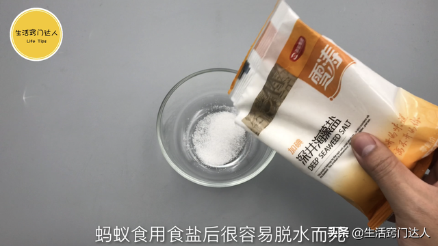 蚂蚁怕啥（灭蚂蚁用不到开水）