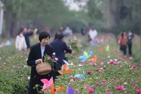 迎江区长风乡首届“情花谷•芍药节”暨名特优农产品展销会开幕图片