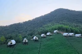 比莫干山好玩，新发现耗资十亿的宝藏地，茶园野奢帐篷屋不输南非图片