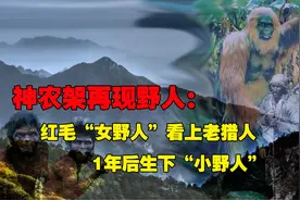神农架是否存在“野人”？百人考察团深入调查，有何发现？图片
