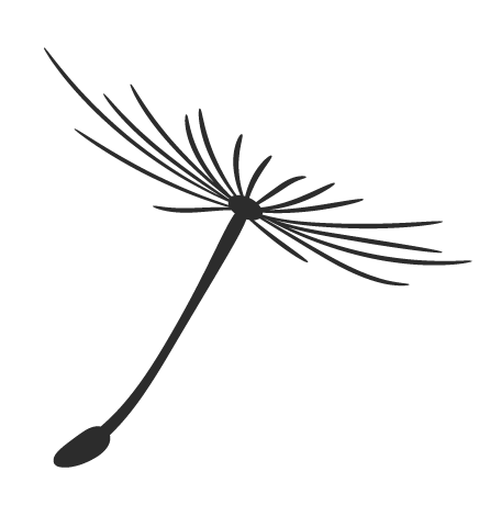 百般红紫斗芳菲 魅力教研展新颜——龙岩市小学语文统编教材六年级“样子课堂”与“优化设计”教学开放活动