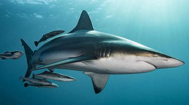 2021年“最热门护肤成分”出炉，排名第一的竟然是禁用成分