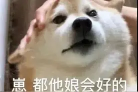 葡萄酒开了都要醒五分钟，人醒了却要立刻去上班图片