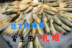 渔民从不吃的两种海鲜，寄生虫“扎堆”，重金属超标，难吃还贵图片
