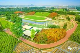 有趣！高颜值！中山这条线路太适合带孩子去了……图片