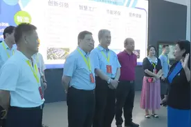 海南省第十三届全国人大代表专题调研组到洋浦调研 关心支持洋浦发展建设图片
