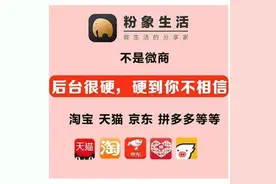 粉象生活如何赚钱的图片