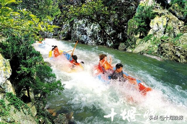 赛龙舟,赏花海…端午节,十堰人旅游就去这几个地方