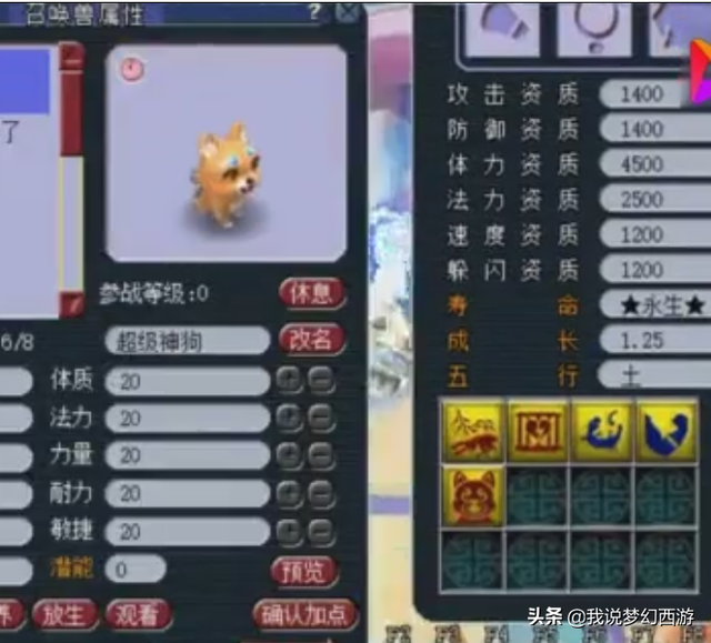 超级狗狗梦幻（梦幻西游超级神狗打书见过吗不愧是神兽）