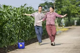 共富Show丨温州女人：小英夫妇的直播间，吆喝的不是玉米，是幸福图片